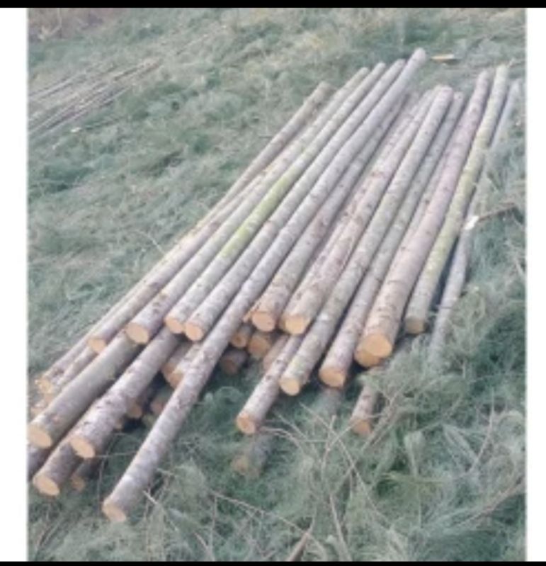 Brown Round Wooden Casuarina Poles, For Construction, Industrial