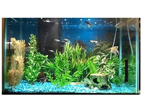 Electric Parko Home Decoration Turtle Aquarium Tank, For Hotel, Office, Restaurant, Size : 12×12