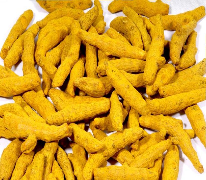 Yellow Solid Natural Turmeric Finger, for Cooking, Style : Dried