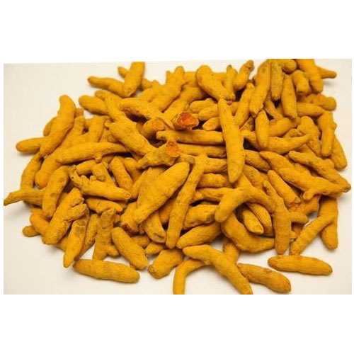 Yellow Solid Organic Turmeric Finger, for Cooking, Style : Dried