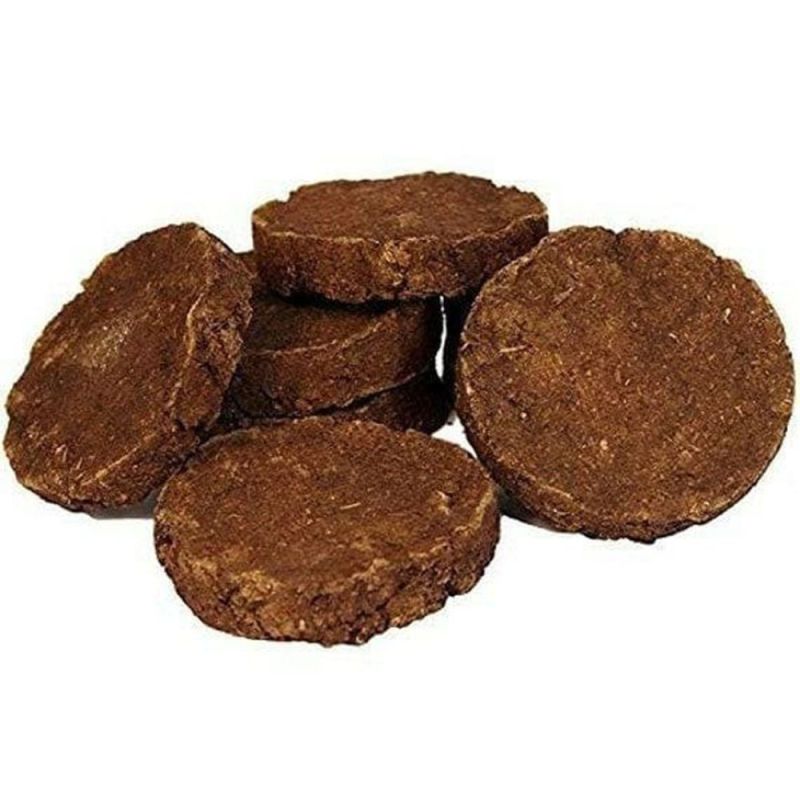Brown Dried Round Cow Dung Cake