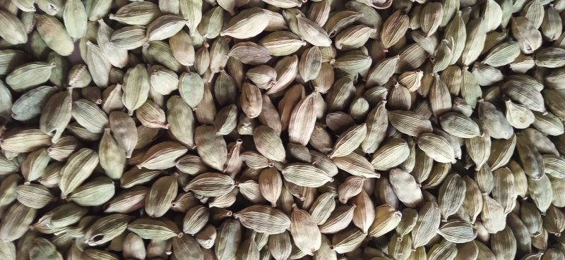 Natural green cardamom, for Spices