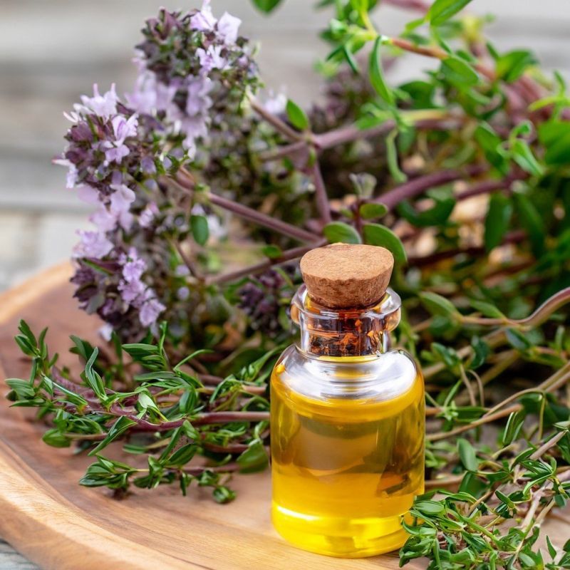 Organic Thyme Oil, for Medicines