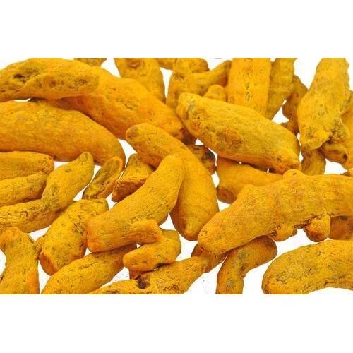 Yellow Fresh Turmeric Finger, for Cooking, Shelf Life : 6 Month