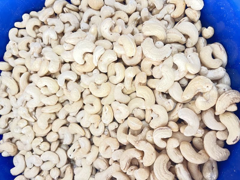 Cashew nuts, Purity : 100%