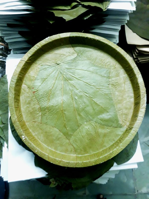 Natural Leaf Plates for Serving Food