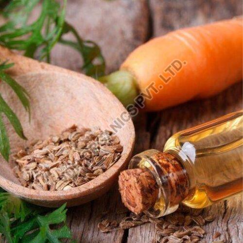 VDH Flowers Carrot Seed Oil, for Medicinal Personal Care, Packaging Type : HDPE Drum