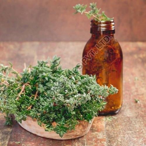 Thyme Oil, for Arthritis, Colds, cuts, Dermatitis, Flu, Insect bites, Laryngitis, Lice Muscle aches