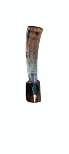 Buffalo Drinking Horn with Stand