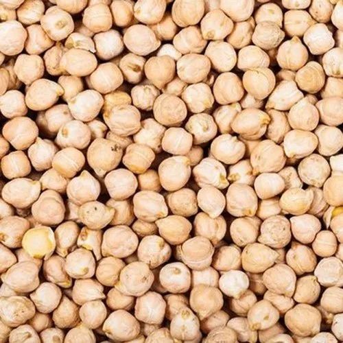 White Natural Dried Kabuli Chana, for Cooking, Shelf Life : 6 Months