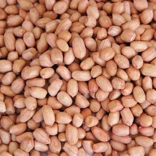 Raw Peanut Kernels