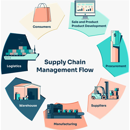 Manufacturer of Supply Chain Management Software from Ahmedabad ...