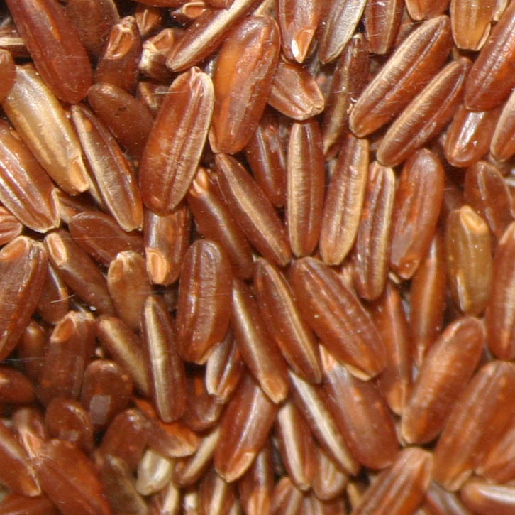 Organic Brown Rice, for Cooking, Certification : FSSAI Certified