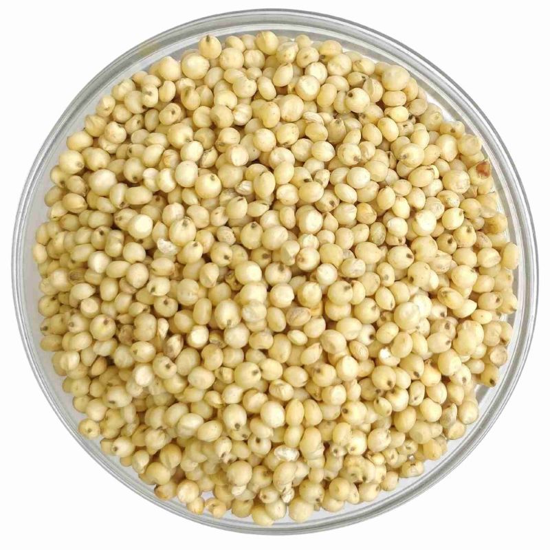 Yellow Organic Millet Seeds, for Cooking, Style : Dried