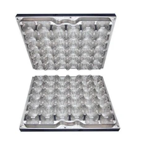 P20 Plastic Egg Tray Mould