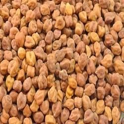 Bengal Gram Seeds