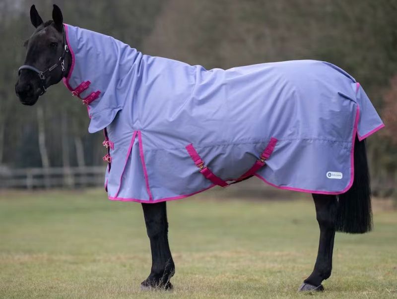 Horse Blankets