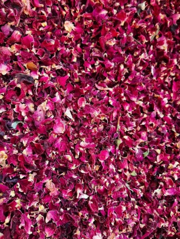 Beyond Flower Dry Red Rose Petals, Packaging Type : 10 Kg Bags