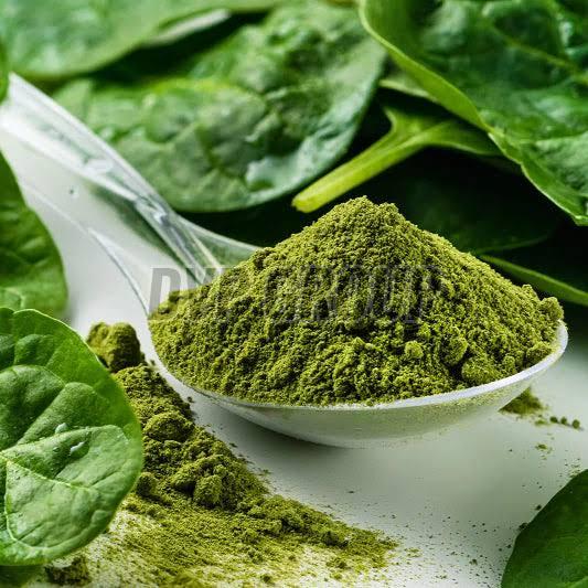 Palak Powder