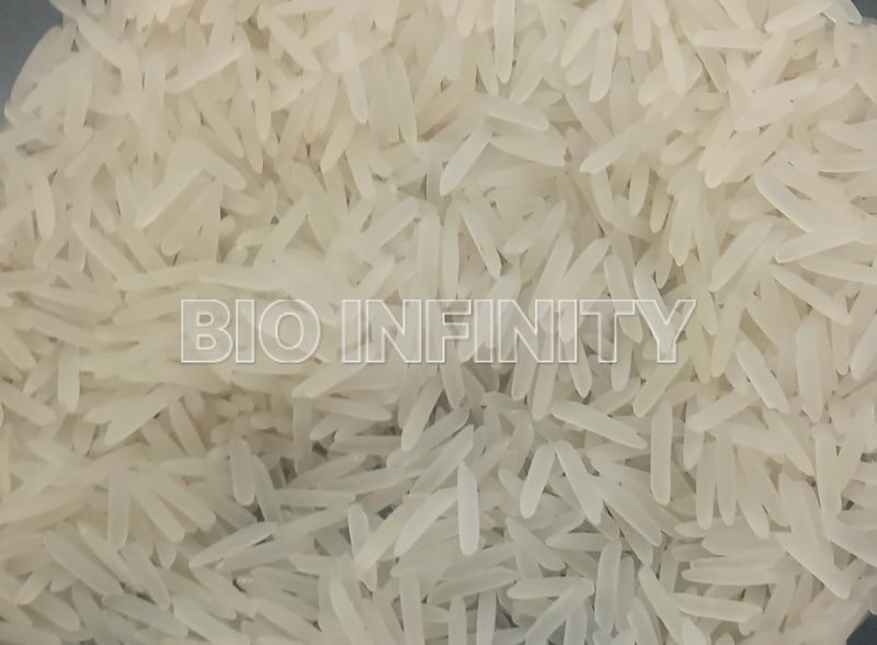 1509 Basmati Rice