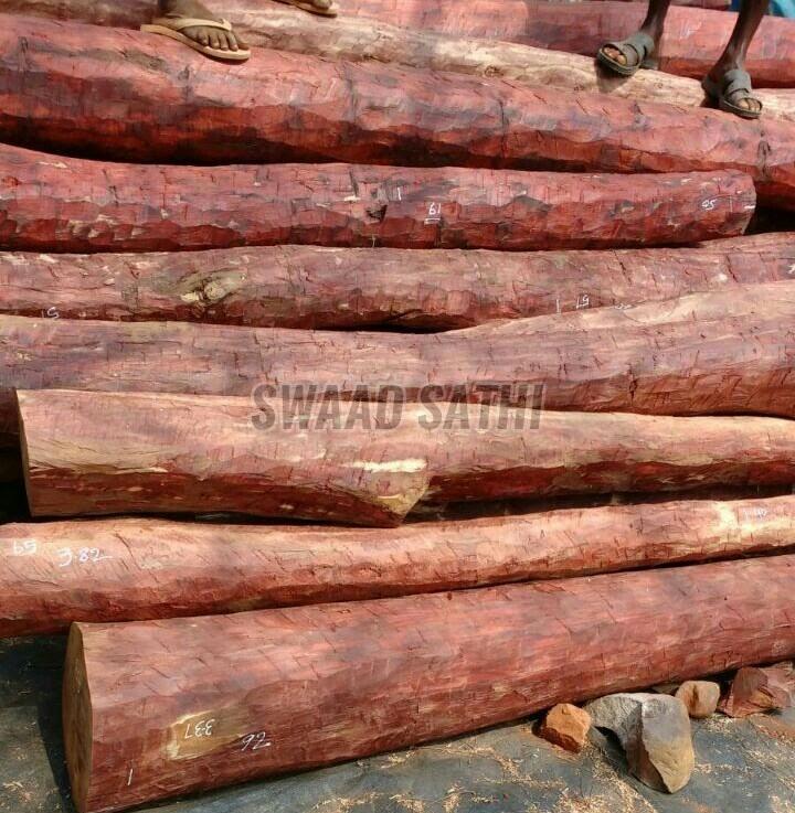 Red Sandalwood