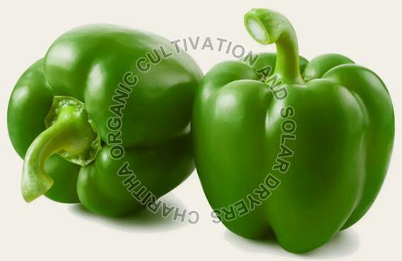 Fresh Organic Capsicum