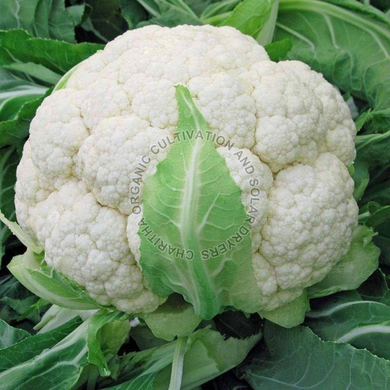 Fresh Organic Cauliflower