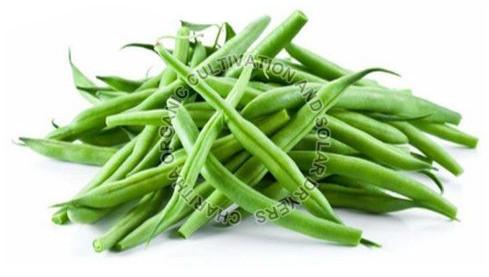 Fresh Organic Green Beans