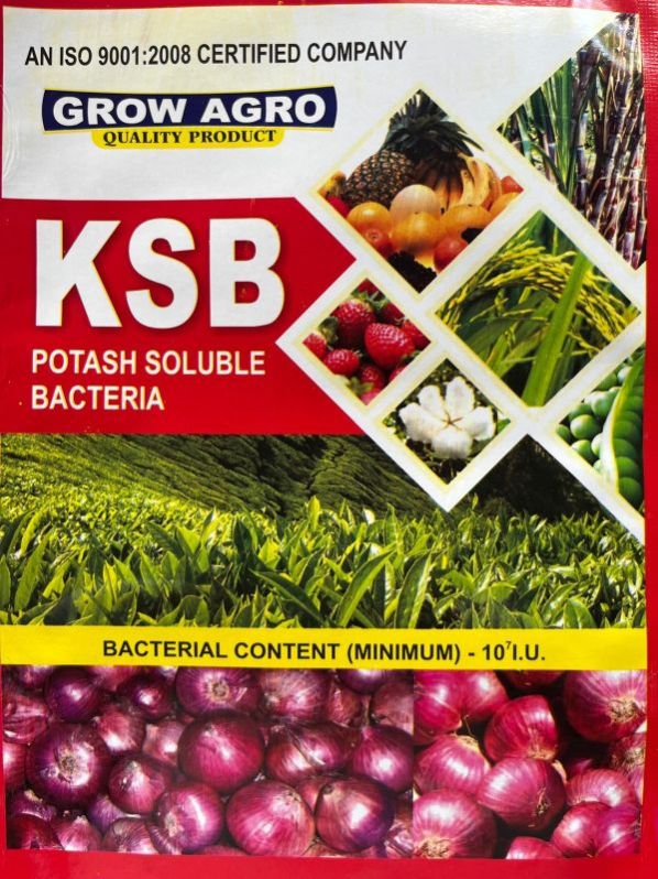 Potash Solubilizing Bacteria (KSB)