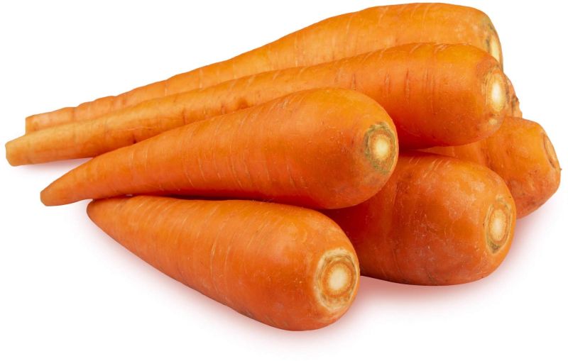 fresh carrot