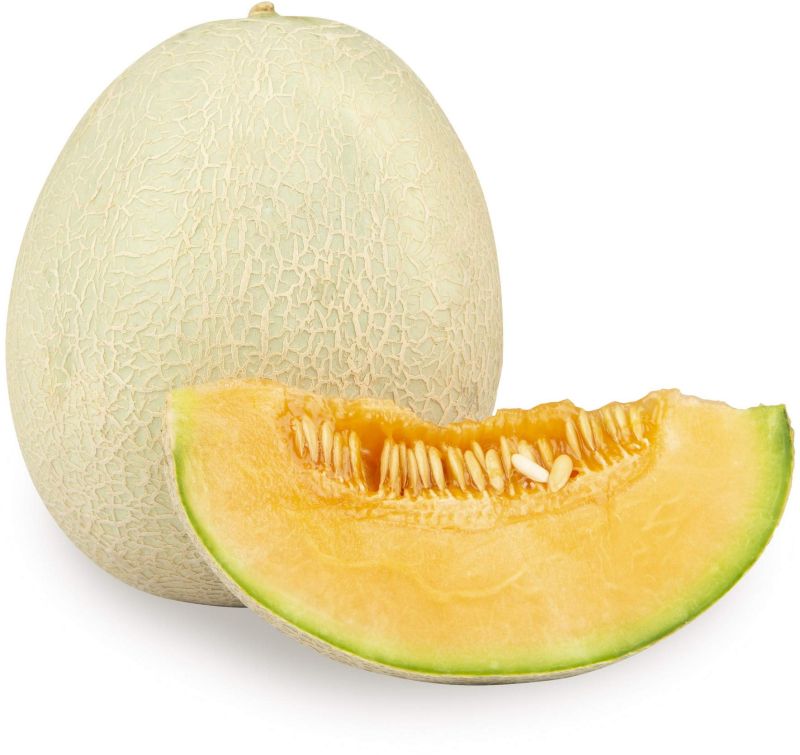 fresh muskmelon