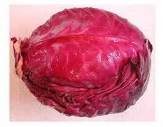 fresh red cabbage