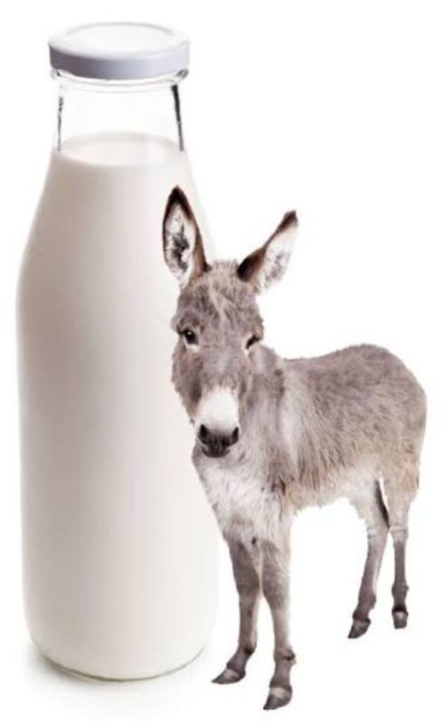 Organic Donkey Milk