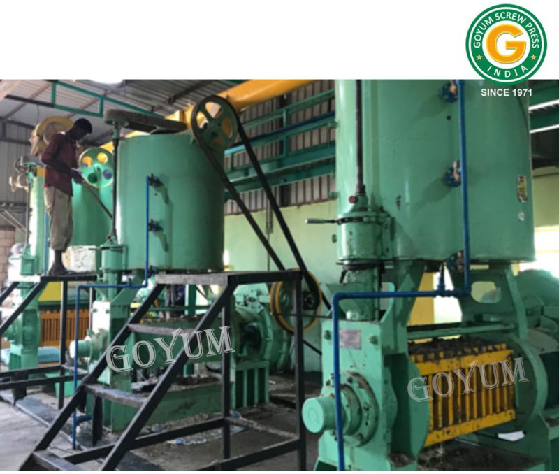 Canola / Rapeseed Oil Mill Machinery