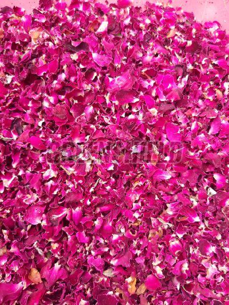 Dry Rose Petals