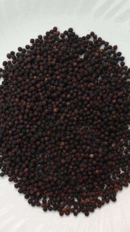 Black Pepper