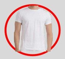 Mens Cotton Modal T-Shirts