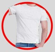 Mens Cotton Viscose T-Shirts