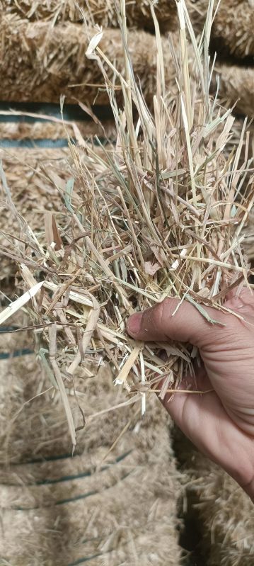 Meadow Hay