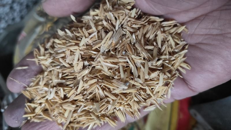 Rice Husk