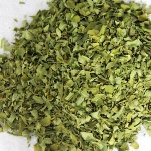 moringa dried leaves