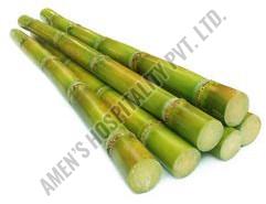 Fresh Sugarcane