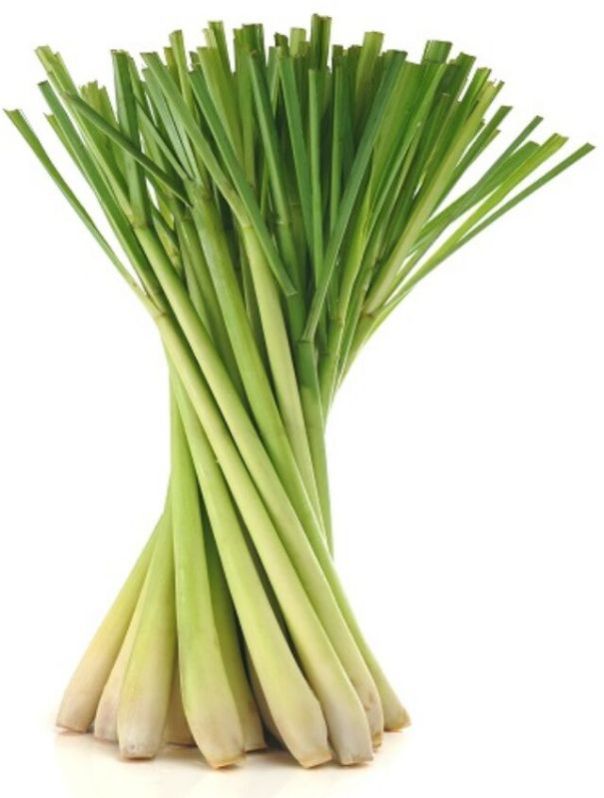 Fresh Lemon Grass Leaves