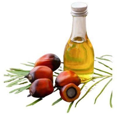 palm oil