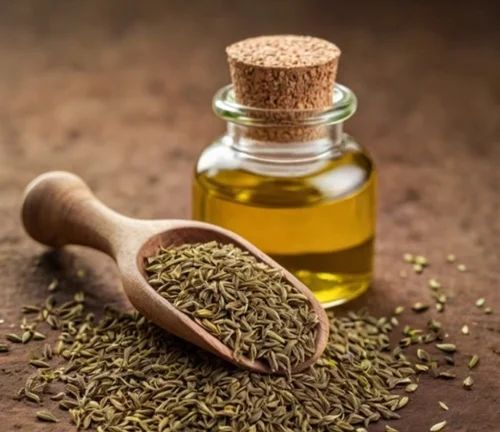 Ajwain Oil