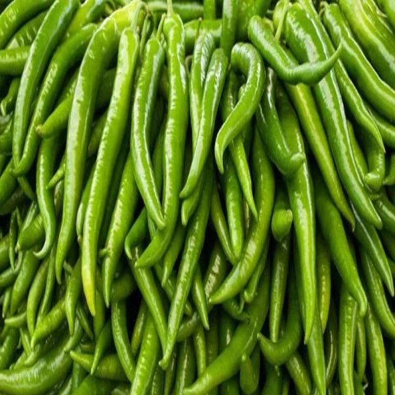 fresh green chilli