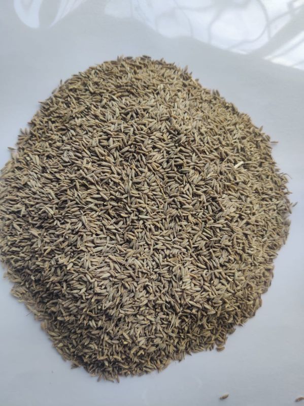 Cumin Seeds