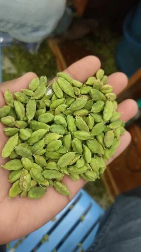 7mm Green Cardamom