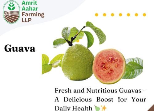 Fresh Guava