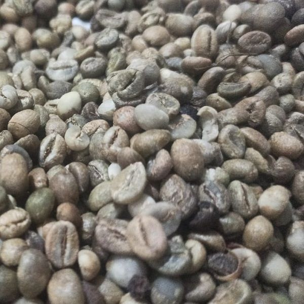 Arabica Coffee Beans